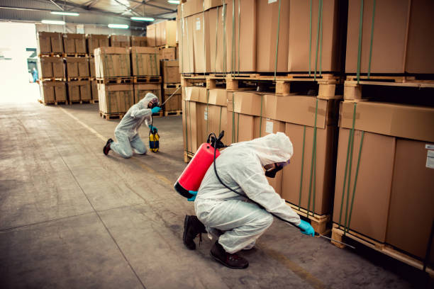 Trusted Bon Secour, AL Pest Control Experts