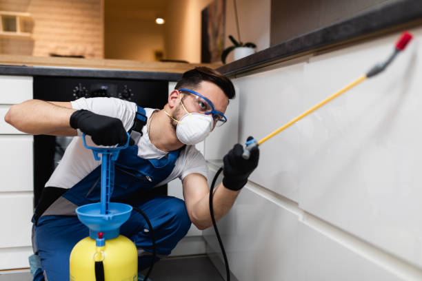 Best Ant Control Services  in Bon Secour, AL