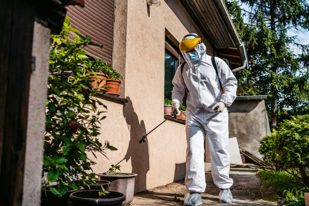 Best Affordable Pest Control Services  in Bon Secour, AL
