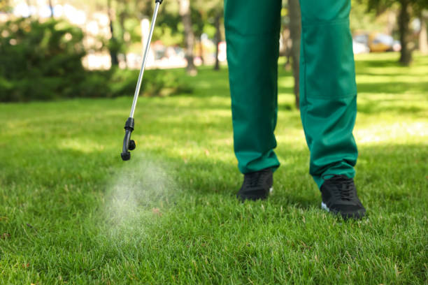Best Cockroach Control Services  in Bon Secour, AL