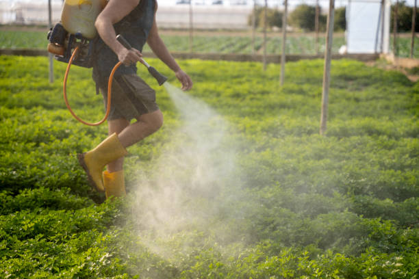 Best Exterminator Services  in Bon Secour, AL