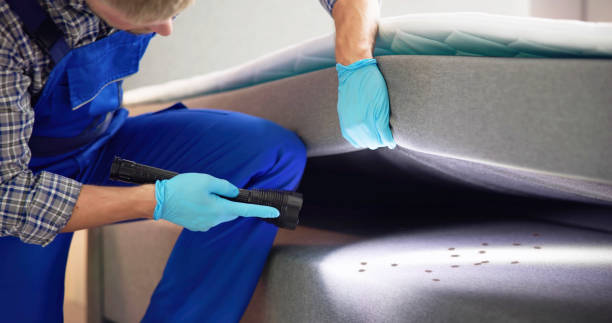 Best Best Pest Control Companies  in Bon Secour, AL