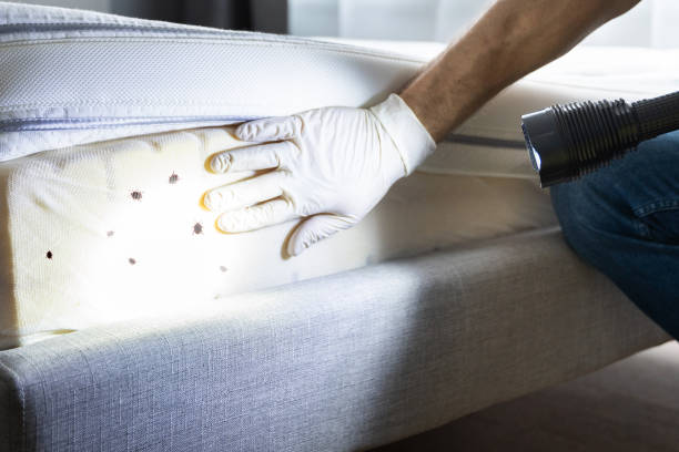 Best Pest Removal Services  in Bon Secour, AL