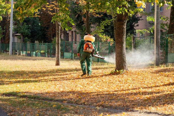 Best Affordable Pest Control Services  in Bon Secour, AL