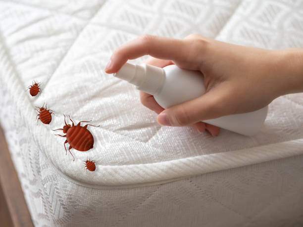 Best Pest Control Near Me  in Bon Secour, AL