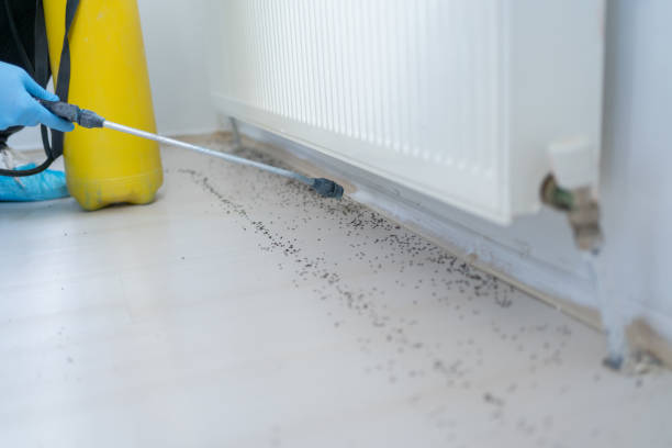 Best Flea Control Services  in Bon Secour, AL