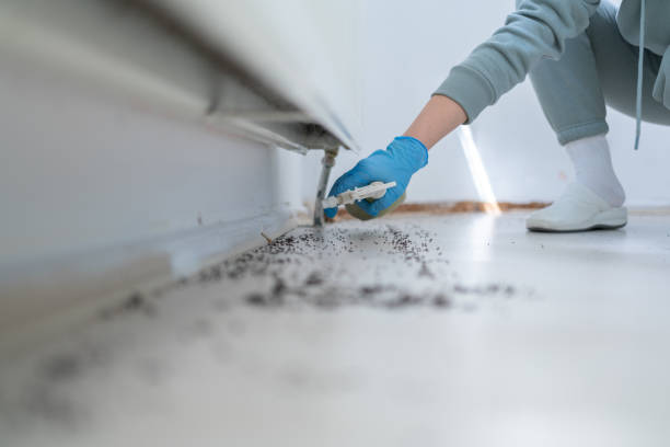 Best Local Pest Control Services  in Bon Secour, AL